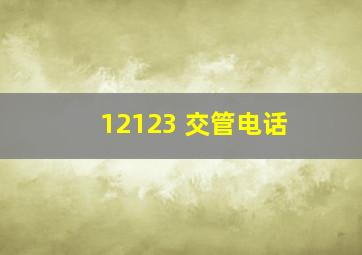 12123 交管电话